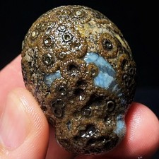 TOP 51G Natural China's Gobi Desert Gobi Agate Eyes Agate Crystal Healing 5459 picture