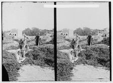 Photo:Bethel Palestine 1900s Village Scene People in Fields Stereo View picture