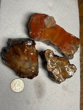 ☘️RR⛏️: 3 PCS Top Quality Arizona Rainbow Petrified Wood 1.5 Lb 🌈 picture