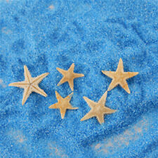 20 Mix Sea Star Tiny Starfish Natural Shell Art Craft Nautical Decor 0.5-1.5cm picture