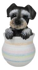 Adorable Grey Mini Schnauzer Puppy Dog Figurine With Glass Eyes Pup In Pot picture