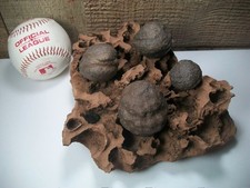 Natural MOQUI MARBLES on eroded NAVAJO SANDSTONE Display Piece picture