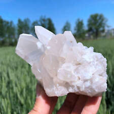 460g Natural Clear Quartz Cluster Quartz Crystal Point Specimen Reiki Decor picture