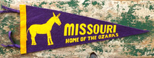 VINTAGE 1960s MISSOURI OZARKS PENNANT BANNER 22