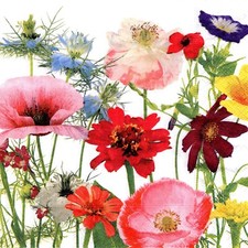 (2) Two Paper Lunch Napkins for Decoupage/Mixed Media - Wildflower Garden colors picture
