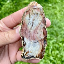Pretty Mozarkite Rough stone 4.78 Oz picture
