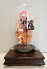 Vintage BUTTERFLY Silk Flower Display Glass Dome Music Rotates Pink Peach picture