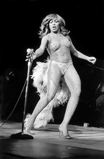 Fridge / Tool Box Magnet -  American Singer Tina Turner #123 picture