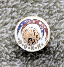 Vintage Dramatic Order Knights Khorassan Screwback DOKK Masonic Cat Pin picture