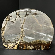 216G Beautiful Natural Chinese Dendritic Limestone Picture Stone Guohua  A61 picture