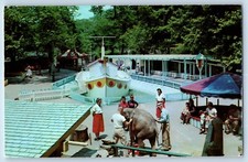 1960 Pittsburgh Pennsylvania Postcard Highland Park Children's Zoo Exterior View picture