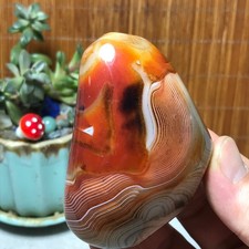 Natural Red Banded Agate Palm Stone Polish Crystal Healing Collection 213g A7782 picture