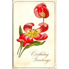 Birthday Greetings With Pink & Red Parrot Tulips Vintage Postcard SP17-3 picture