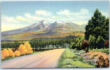 Postcard - San Francisco Peaks - Arizona picture