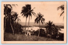 New Hebrides Postcard Lagoon Trees River View c1930's Vintage Unposted picture