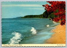 Michigan Shoreline Cresting Waves & Crimson Maple Postcard John Penrod Photo picture