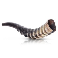HalleluYAH Blesbok Horn Shofar 10