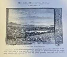 1882 John Muir Bee Pastures of Colorado Part 2 illustrated picture