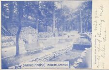 READING PA - Spring House Mineral Springs - udb (pre 1908) picture