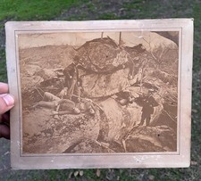 Antique 1860s Devils Den Gettysburg Battlefield Photo Civil War picture