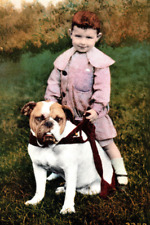 Cute Boy Riding Bulldog Vintage Postcard Antique picture