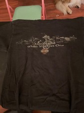 Harley Davidson BEIJING picture