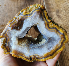 2.7 lbs (1.22 kg) Limb Cast, Petrified Wood Limb Casts, Yellow Limb Cast, Agate picture