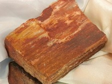 Wonderful Unique One Of A Kind Peterified Wood Chunk Paperweight  WOW 247F7 picture