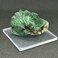 Fibrous Silky Malachite Crystal Mineral Specimen Kosempe Congo  36G picture