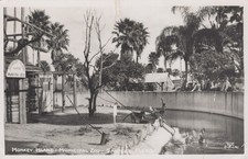 Sanford FL Monkey Island Municipal Zoo Florida 1952 - RPPC Photo Postcard picture