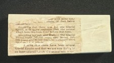 Antique Fossil Tusk Section w/ Historic Glacial Age Gold Mine Label 3.5
