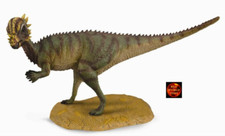 Pachycephalosaurus Dinosaur Toy Model Figure by CollectA 88629 Brand New picture