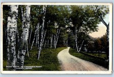 c1916 Camden Maine ME Vintage Postcard Road Scene Dillingham's Point Tree Posted picture