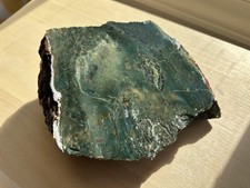 Green Hampton Butte OR Jasper Petrified Wood Face-Polished Specimen, 1 lb 14 oz picture