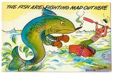Vintage Humorous Fighting Mad Fishing Litho Postcard  picture