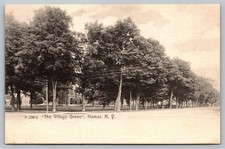 Homer NY The Village Green Rotograph Vintage Postcard Early 1900s Trees picture