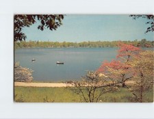 Postcard Greetings from Findlay, Illinois picture
