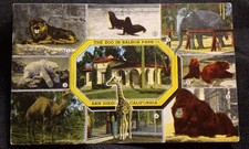 Vintage 1952 The Zoo In Balboa Park San Diego California Linen Postcard Stamp picture