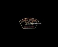 USA Buffalo Soldiers + a custom promo pin  picture