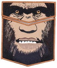 2018 NOAC Trader Bigfoot Lodge 620 Flap Set Glacier's Edge Patches Wisconsin OA picture