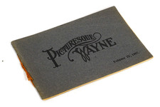1907 Wayne County PA Picturesque Wayne Album Prints Picture Book picture