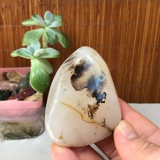 72-55-27mm Natural aquatic plants agate pretty Crystal specimens 148g A1879 picture