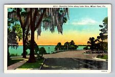 Mount Dora FL-Florida, Drive Along Lake Dora, Antique, Vintage c1949 Postcard picture