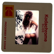 1982 Vintage Original 35MM Slide Corinne Alphen Penthouse Magazine picture