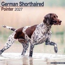 German Shorthaired Pointer Calendar 2027 Dog Wall Calendar picture