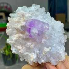 284G Natural Transparent Chrysanthemum crystal Cluster with Amethyst Specimen picture