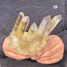1.62LB Natural citrine Crystal quartz Cluster Mineral Specimen energy picture