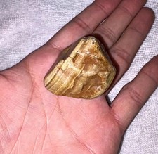 Natural Crowley’s Ridge Banded Chalcedony Agate Chert Nodule Arkansas Rough 51g picture