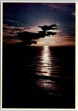 Postcard - Moonlight Along the Pacific Coast picture