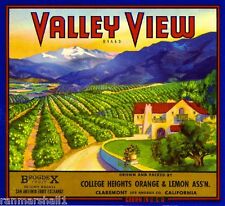 Claremont Los Angeles County Valley View Orange Citrus Fruit Crate Label Print picture